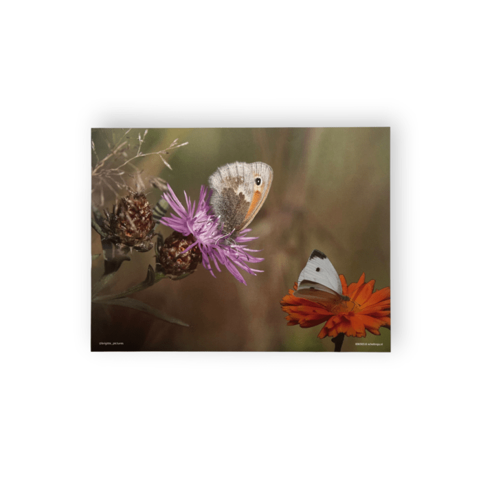 Placemats bloemen met vlinders